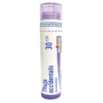 Thuya Occidentalis 30ch