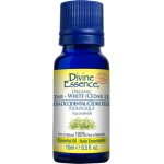 Cedar - White (Cedar leaf) (Org)