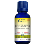 Eucalyptus - Blue Gum (Organic)