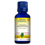 Peppermint (Organic)