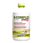B-Complex Energy