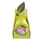 GreenTeaMintsCnstr Pink Dragonfruit