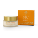 Replenishing Night Cream